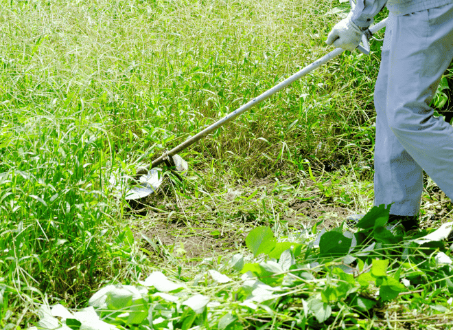草刈りのイメージ
